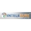 Intelesure Logo