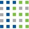 Intelice Solutions Logo
