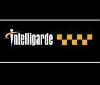Intelligarde International Logo