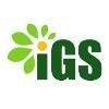 Intelligent Green Solutions Logo