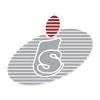 Intellinet Systems Logo