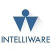 Intelliware Systems Logo