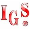International Games System Logo