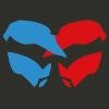 International Paintball Group Logo