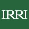 International Rice Research Institute Logo