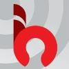 Internet Builder Consulting Logo