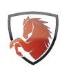Intrepid Marketing Logo