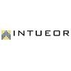 INTUEOR CONSULTING Logo