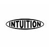 Intuition (Korea) Logo