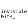 Invisible Bits Logo
