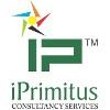 iPrimitus Consultancy Services Logo