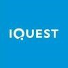 iQuest Group Logo