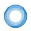 IRIS Health Solutions Logo