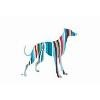 Irish Greyhound Board Logo
