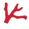 ISAIA Logo