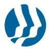 ISI Professional Services Logo
