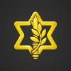 Israeli Defense Forces Logo