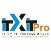 IT BY IT Professionals Logo