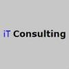 iT Consulting (Brazil) Logo