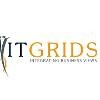 IT Grids Logo