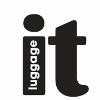 IT luggage Logo