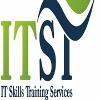 IT Skills Training Services Logo