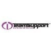 iTeamSupport Logo