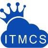 ITMusketeers Consultancy Services Logo