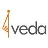 IVEDA India Logo