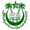 Jamia Millia Islamia Logo