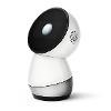 Jibo Logo