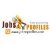 Jobs N Profiles Logo