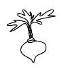 Jujubeet Logo