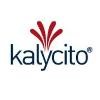 Kalycito Infotech Private Logo