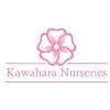 Kawahara Nurseries Logo