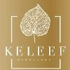 Keleef Management Logo