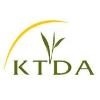 Kenya Tea Development Agency Logo