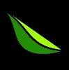 Key Lime Air Corporation Logo