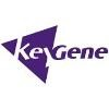 KeyGene Logo