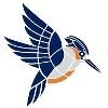 Kingfisher Systems Logo