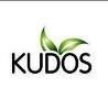 Kudos Ayurveda Logo