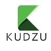 Kudzu Infotech Logo