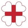 Kwong Wai Shiu Hospital Logo