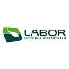 Labor Srl Logo