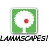 LAMMSCAPES! Logo