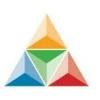 Lancet Software India Logo