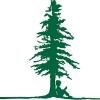 Larchmont Charter School Logo