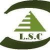 Lead Staffing Logo