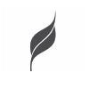 Leaf Innovation Logo