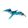 Learning Bird Logo